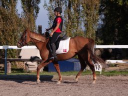 IMG_7272_web